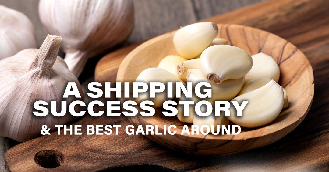 Garlic, A Shipping Success Story
