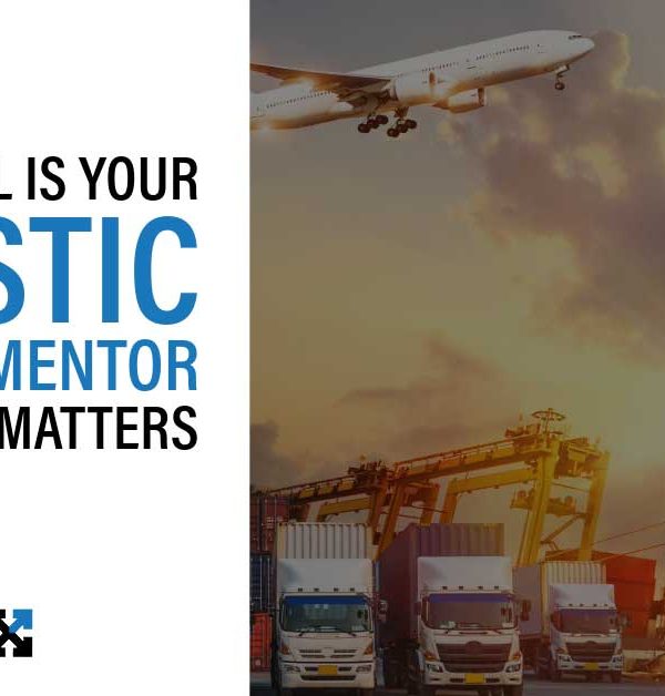 Navigating Success with Customodal: Your Holistic Shipping Mentor